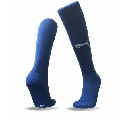 Puma Soccer Socks-Blue